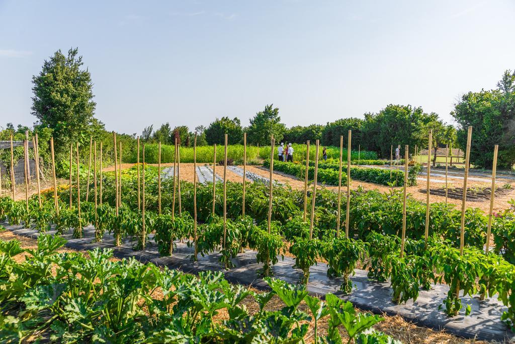 Bed and Breakfast La Posa Degli Agri Legnaro Екстер'єр фото